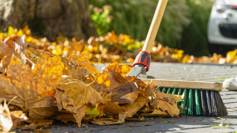 Leaf removal by Wild West Landscape Designs LLC.