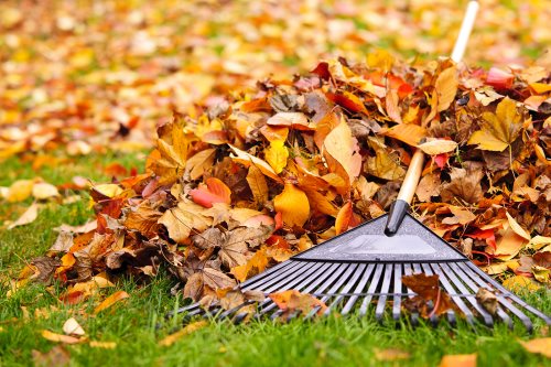 Fall Clean Up Services by Wild West Landscape Designs LLC