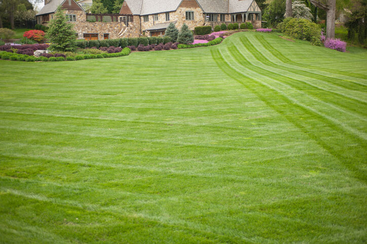 Lawn care by Wild West Landscape Designs LLC.