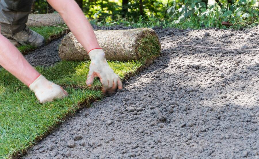 Sod Installation by Wild West Landscape Designs LLC