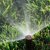 Coalfield Sprinklers by Wild West Landscape Designs LLC