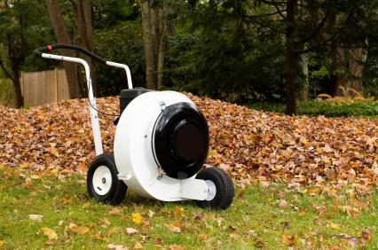 Leaf removal in Louisville, TN by Wild West Landscape Designs LLC.