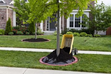 Mulching in Rocky Top Services