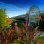 Coalfield Commercial Landscaping by Wild West Landscape Designs LLC