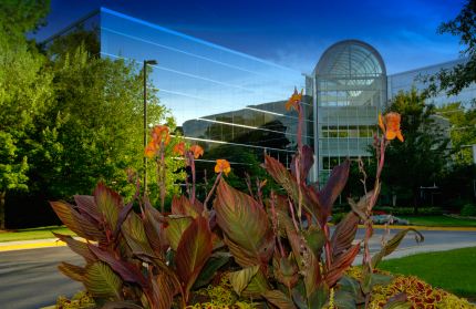 Commercial landscaping by Wild West Landscape Designs LLC.