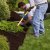 Coalfield Spring Clean Up by Wild West Landscape Designs LLC